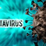 Odissea sanitaria nell'Atlantico: l'emergenza Hantavirus sulla MV Hondius